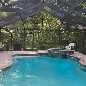 The Jungle Tampa